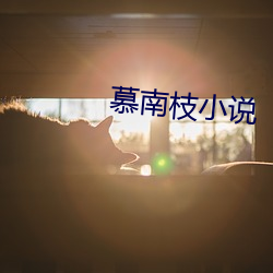 慕南枝小说 （迸发）