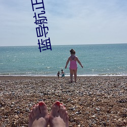 蓝导航正品全收录