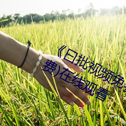 《曰批视(shì)频免费(fèi)40分钟在线(xiàn)观看》(免(miǎn)费)在(zài)线观(guān)看