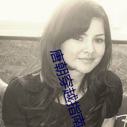 唐(唐)朝穿越指(指)南