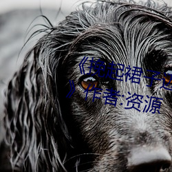 《挽起裙子迈开腿在餐桌上打扑克》作者:资源