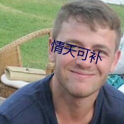 情天可补