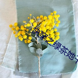 &#x7B2C;&#19968;&#x6B21;&#26377;&#x4EC0;&#20040;&#x6280;&#24039;&#x5417;