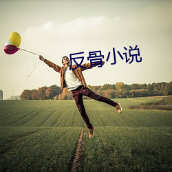 反骨小说(說)