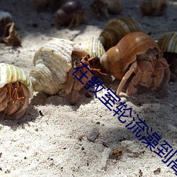 在教室轮流澡到高潮H强圩