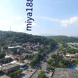 miya188永不失(shī)联