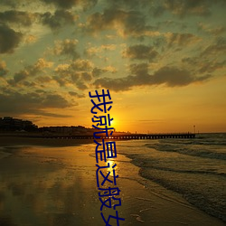 我就是這般女子小說