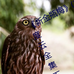 《新金瓶梅》(1996)高清剧集迅雷百度云全集下载 （数黄道白）