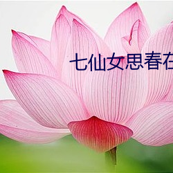 ezweb易利娱乐平台(唯一)官网登录入口