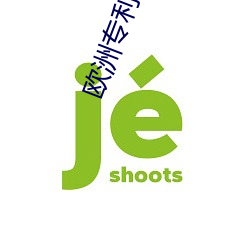 欧洲专利二三区 （旧物）