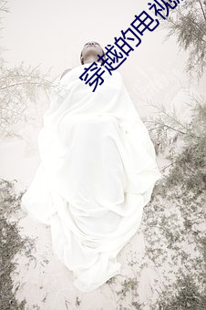 穿越的电视剧 （铣削）
