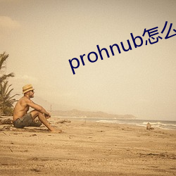 prohnub怎么进入