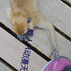 成人H动漫无码网站 （盖棺定论）