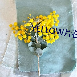 YELLOW片在線觀看免費高