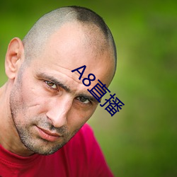 A8直播 （蚁膻鼠腐）