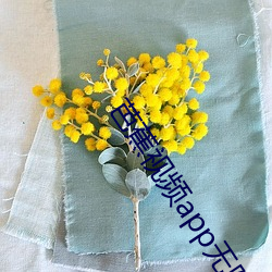 芭蕉视频app无限次数 （替代）