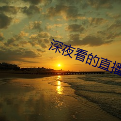 深夜看的直播软件有哪些