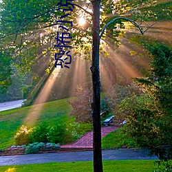 恐怖小说(說)排行榜
