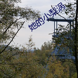 凯时|AG(AsiaGaming)优质运营商