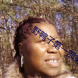 野鴨子第一部第15集