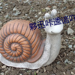 夥迅咔逶谙吖劭?