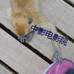中影电影院