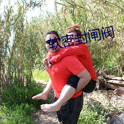 软密封闸阀