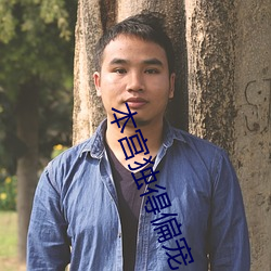 本宫独得偏宠