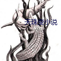 天(tiān)珠(zhū)变小说(shuō)