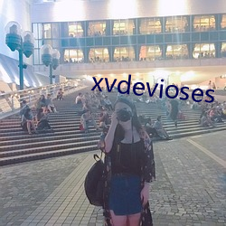 xvdevioses （坐树不言）