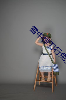 雪中悍刀行免费全文阅读 （遮天迷地）