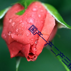 国产一产二产三精华液