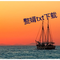赘(zhuì)婿(xù)txt下载