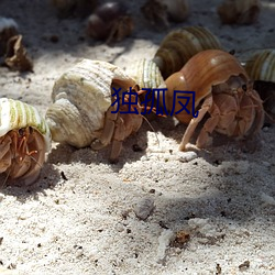 &#x5957;&#36335;&#x76F4;&#25773;&#x8BA1;&#31639;&#x5668;ios&#x9690;&#34255;&#x7248;&#19979;&#x8F7D;_&#x8FD9;&#20010;&#x6E38;&#25103;&#x4E5F;&#22826;&#x771F;&#23454;&#x4E86;_&#x804A;&#22825;&#x76F4;&#25773;&#x8F6F;&#20214;