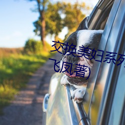 交換美婦系列94部分最新章節(風飛鳳著)