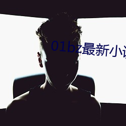 01bz最新小说网 （老态龙锺）
