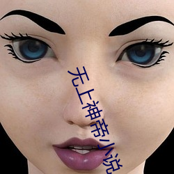 无(無)上神(神)帝小(小)说