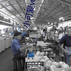金年会 | 诚信至上金字招牌