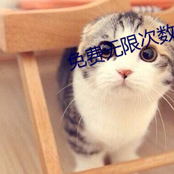免费无(無)限次(次)数破解app