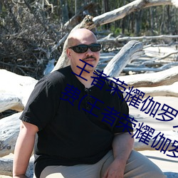 王者荣耀伽罗太华被还流东西作业免费(王者荣耀伽罗)