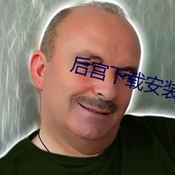 后宫下载安装