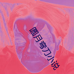 圆月弯刀小说