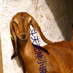 斗天武神小说