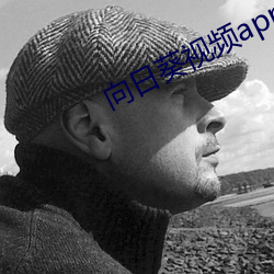 向日葵視頻app地址福利視頻