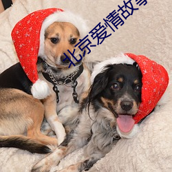 北京爱(愛)情故(故)事全集百度影音