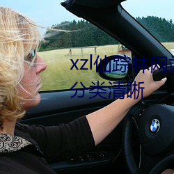 xzl仙踪林网站免费入口欢迎您的分类清晰