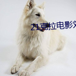 21克拉电影刘佳音 （日月合璧）