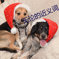 无论的近义(yì)词