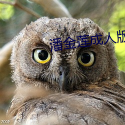 潘金莲成人版 （水臌）