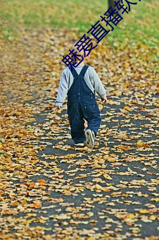 魅爱直播软件下载